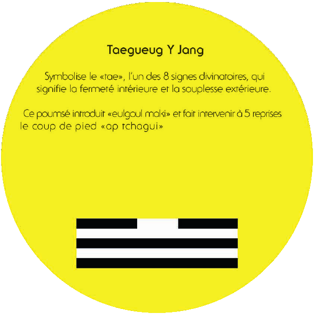 Taegueug Y Jang : explication du poomsae
