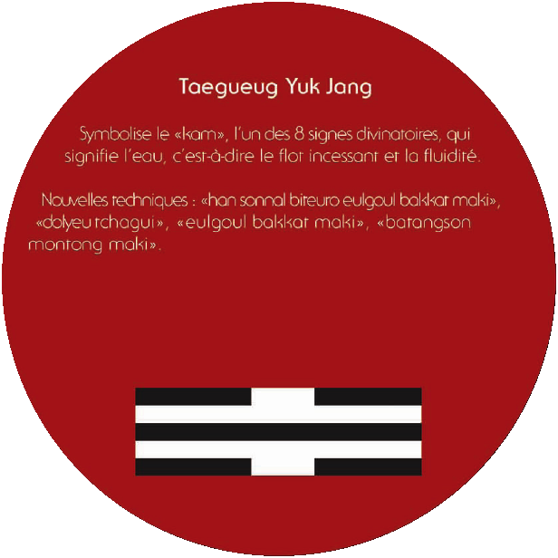 Taegueug Yuk Jang : explication du poomsae
