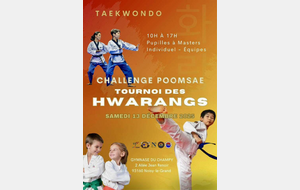 Challenge Poomsae tournoi des HWARANGS - Noisy-le-grand